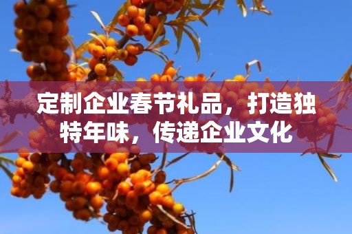 定制企业春节礼品，打造独特年味，传递企业文化