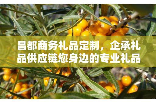 昌都商务礼品定制，企承礼品供应链您身边的专业礼品定制公司